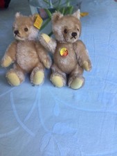 Kleine steiff teddy gebraucht kaufen  München