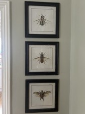 Set three framed for sale  TUNBRIDGE WELLS