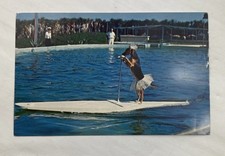 Marineland trained dog d'occasion  Expédié en Belgium