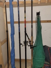 Canne da pesca usato  Vittuone