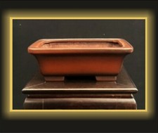 Vaso bonsai giapponese usato  Cambiago