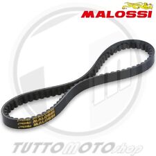 Cinghia trasmissione malossi usato  Amantea