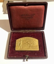 Médaille plaque bronze d'occasion  France