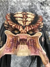 Prime predator unmasked for sale  DARTFORD