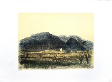 Alberto ziveri albero usato  Arcisate