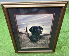 Black lab dog for sale  Essexville