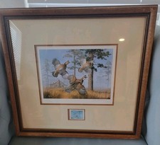 David maass 1982 for sale  Magnolia