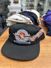 Vintage dale earnhardt for sale  Mount Pleasant