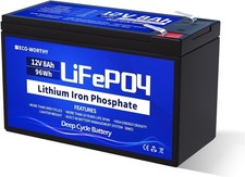 Eco worthy lifepo4 gebraucht kaufen  Mayen