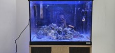 Fluval roma 90l for sale  LONDON