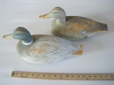 Victor mallard duck for sale  Elizabeth
