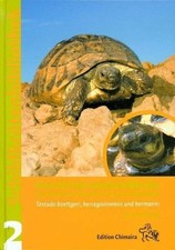 Griechische landschildkröte d gebraucht kaufen  Stuttgart