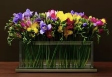 Stem glass rectangle for sale  Sacramento