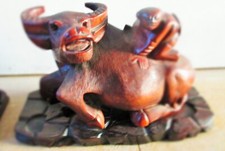 Chinese water buffalo for sale  ALFORD
