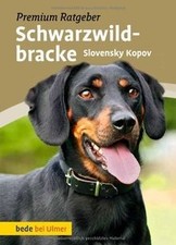 Schwarzwildbracke slovensky ko d'occasion  Expédié en France