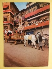 Siena - Il Palio - Il Carroccio. comprar usado Siena - Il Palio - Il Carroccio. comprar usado  Enviando para Brazil