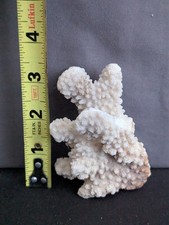 Decorative coral piece for sale  Vancouver