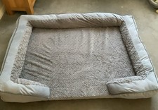 Joejoy xxl dog for sale  HINCKLEY