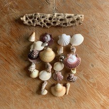 wind chimes seashell crafted for sale  Sherman