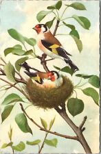 Postcard goldfinch male for sale  Vallejo