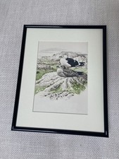 Original book plate for sale  HUNSTANTON