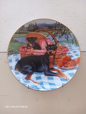 Mini doberman dog for sale  Salt Lake City
