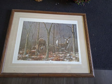 Framed whitetail unlimited for sale  Beloit