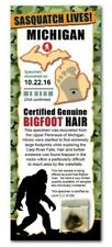 AMOSTRA DE CABELO PÉ GRANDE Michigan State Park raro presente exclusivo menino criança homem caverna comprar usado  Enviando para Brazil