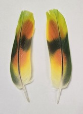 Matched pair green for sale  Metairie