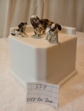 Dog puppies .dog for sale  Virginia Beach