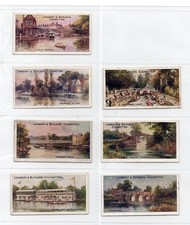 lamberts for sale lamberts for sale WOODBRIDGE