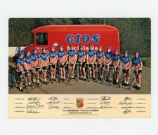 Gios biciclette torino usato  Milano