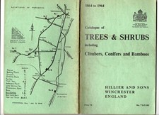 Catalogue hillier winchester for sale  WOKINGHAM