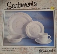 Arcopal dinner set for sale  Rouses Point