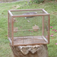Cage oiseaux ancienne d'occasion Cage oiseaux ancienne d'occasion  Cerisy-la-Salle