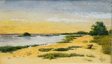 Amazing watercolor painting. for sale  Kingston