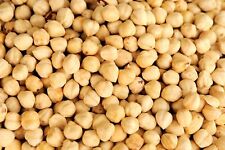 Nocciole tostate 250gr usato  Palermo