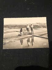 Postcard oyster parks d'occasion  Expédié en Belgium
