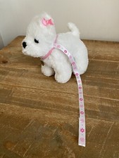 White westie dog for sale  NOTTINGHAM