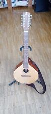 Ashbury style cittern gebraucht kaufen  Bremen