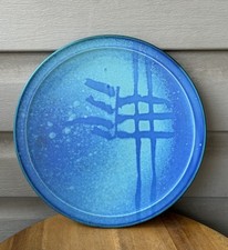 Vivid blue brush for sale  Crofton
