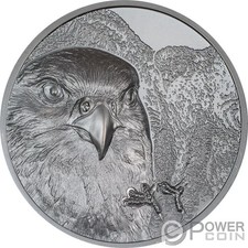 Falcon mongolia selvaggia usato  Ciampino