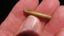 Fine trade bead for sale  Bainbridge