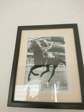 Framed signed horse for sale  RUGBY