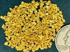raw gold nuggets for sale raw gold nuggets for sale Colbert