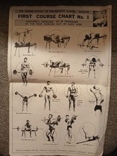 Joe Weider System of Progressive Barbell Workout Chart Conjunto de 6 Pôsteres Vintage  comprar usado  Enviando para Brazil