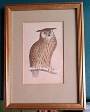 Antique colour plate for sale  HASSOCKS
