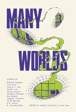 Many worlds simulacra for sale  Little Falls
