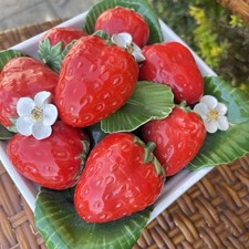 Majolica strawberry fruit for sale  Maumee