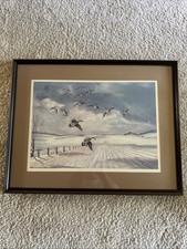 Lem ward duck for sale  Wilmington
